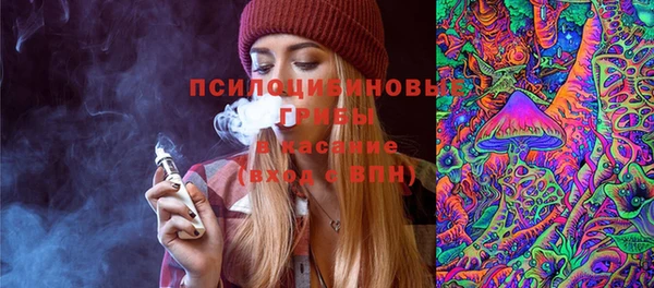 трава Лабытнанги