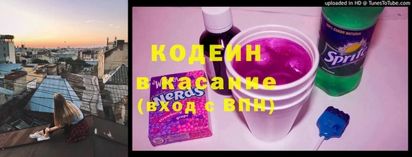 ГАЛЛЮЦИНОГЕННЫЕ ГРИБЫ Костерёво