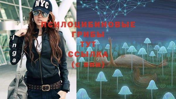 синтетический гашиш Коряжма