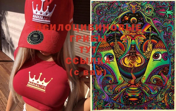 трава Лабытнанги