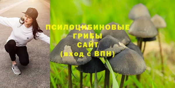первитин Кукмор