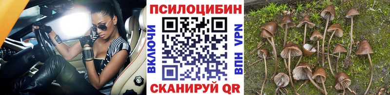 Галлюциногенные грибы Cubensis  Куйбышев 