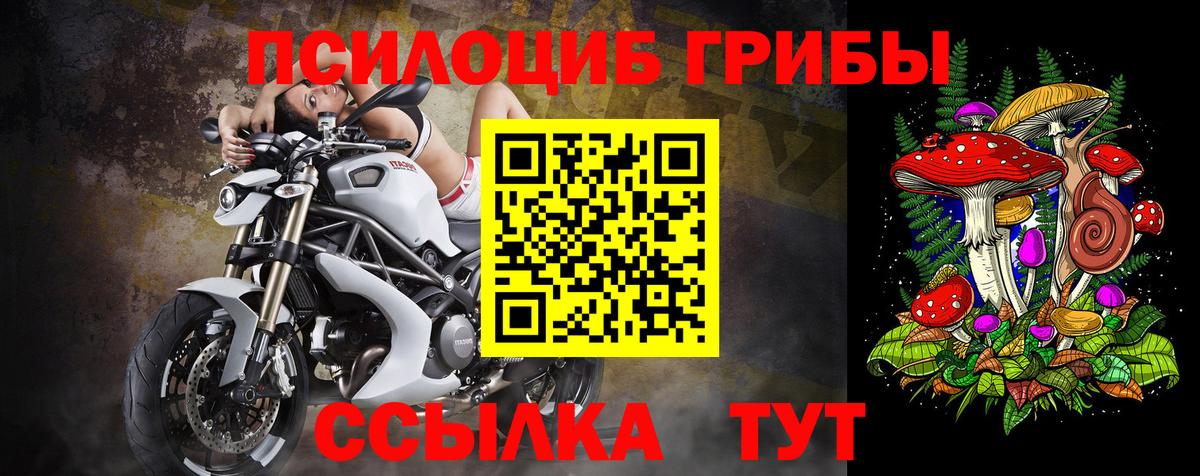 Псилоцибиновые грибы прущие грибы Куйбышев