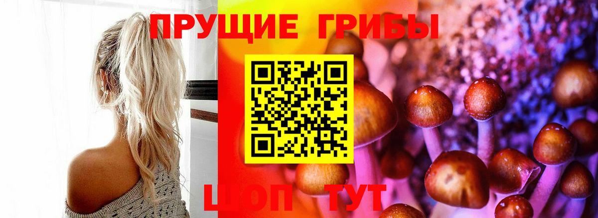 Куйбышев  Псилоцибиновые грибы Magic Shrooms  Вход с VPN  Псилоцибиновые грибы MAGIC MUSHROOMS 